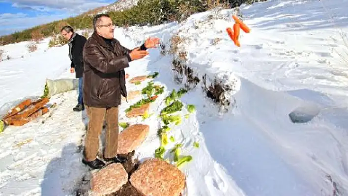 Yaban hayvanları için yemleme yapıldı