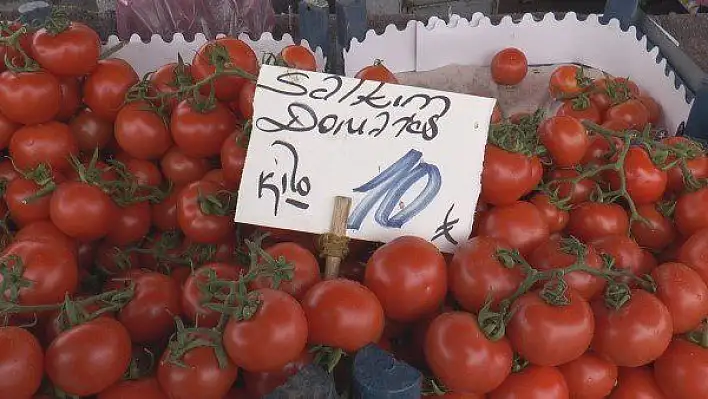 Rusya domatesi ithal edemedi, fiyatı düştü