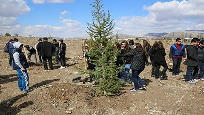 Melikgazi Belediyesi 'nde İlk Etapta 10.000 çam fidanı toprakla buluşacak 