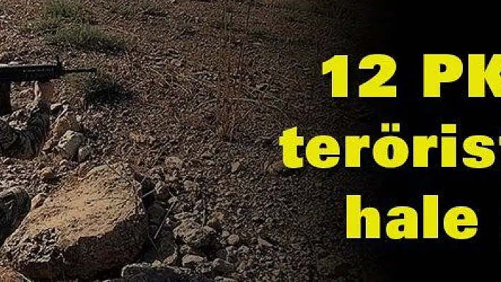 Barış Pınarı bölgesinde 12 PKK/YPG'li terörist etkisiz hale getirildi