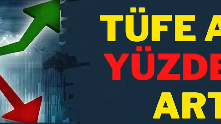 TÜFE aylık yüzde 1,68 arttı