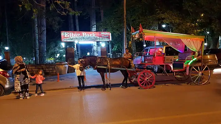 Develi'de fayton turu başladı