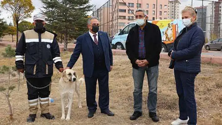 'Bulut' yeniden doğal ortamında