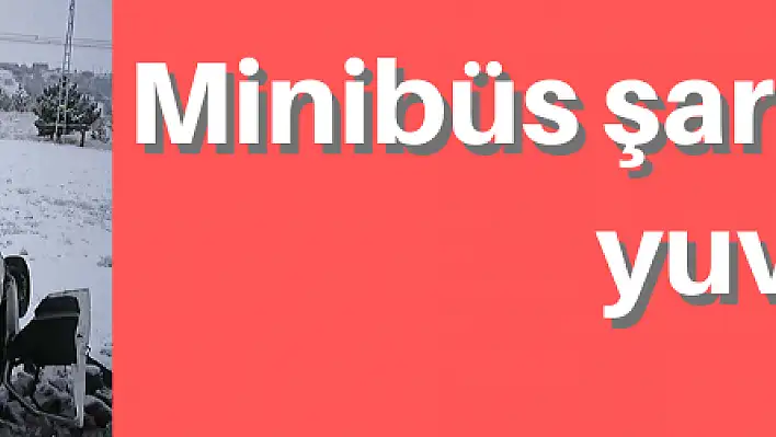 Minibüs şarampole yuvarlandı