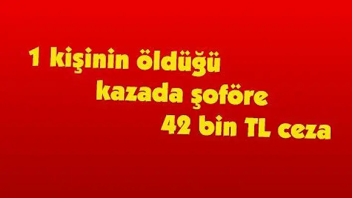 1 kişinin öldüğü kazada şoföre 42 bin TL ceza