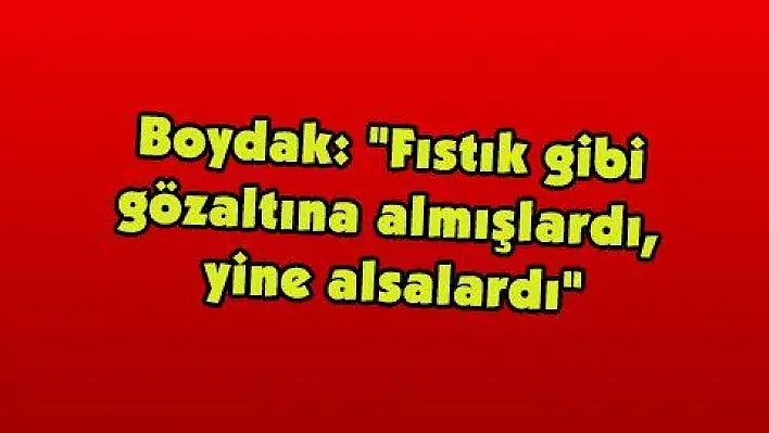 Boydak: 'Fıstık gibi gözaltına almışlardı, yine alsalardı'