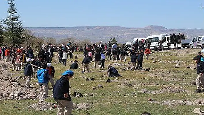 Büyükşehir ile fidanlar fidan dikti 