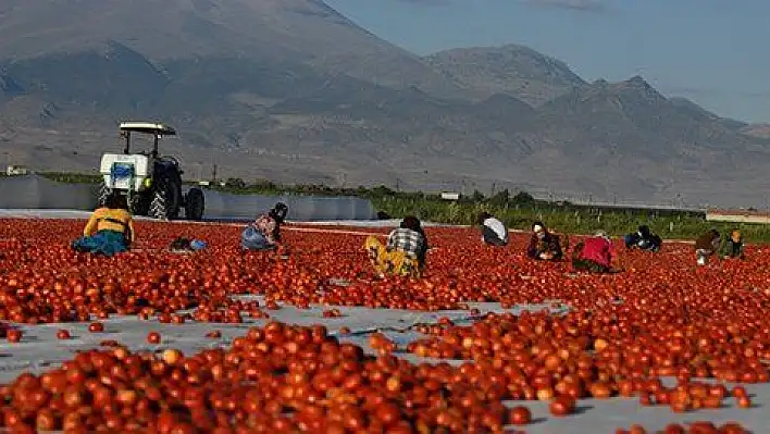 Erciyes'in etekleri kırmızıya boyandı