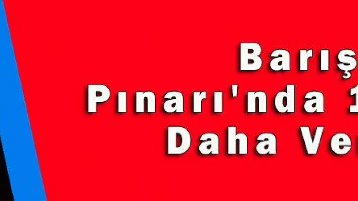 Barış Pınarı'nda 1 Şehit Daha Verdik