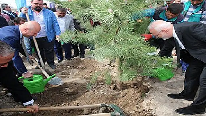 Çolakbayrakdar, 'Boztepe'yi Yeşertiyoruz'