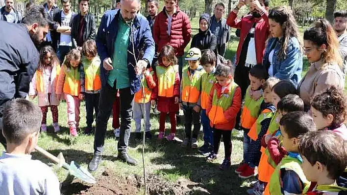 TEMA'dan uygulamalı fidan dikimi  