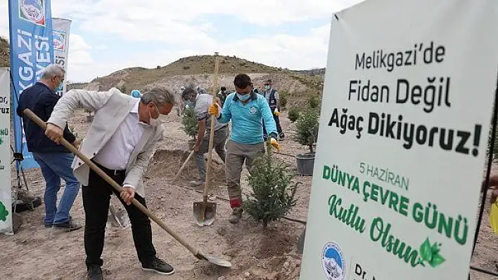 Melikgazi'de 250 tür ağaç dikildi