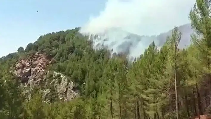 Sosyal medyaya bir yalanlama da itfaiyecilerden