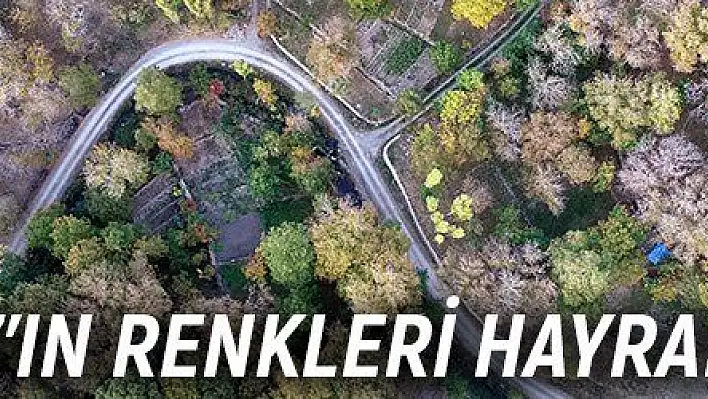 Koramaz'ın renkleri hayran bıraktı