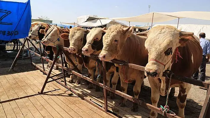 Melikgazi'de Kurban satış yerleri hazır