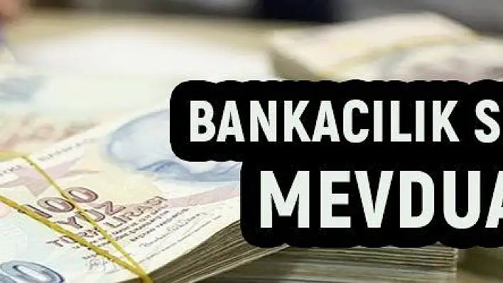 Bankacılık sektörünün mevduatı arttı