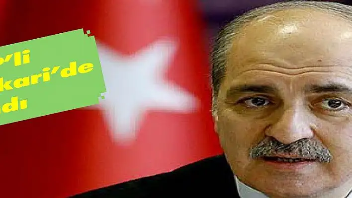 Kurtulmuş: 'Firari HDP'li Akdoğan Hakkari'de Yakalandı'