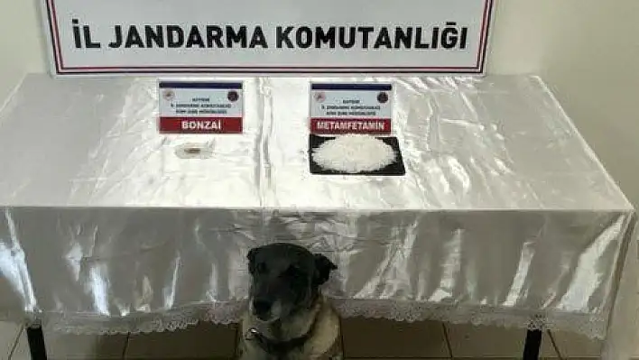 Jandarmadan uyuşturucu operasyonu