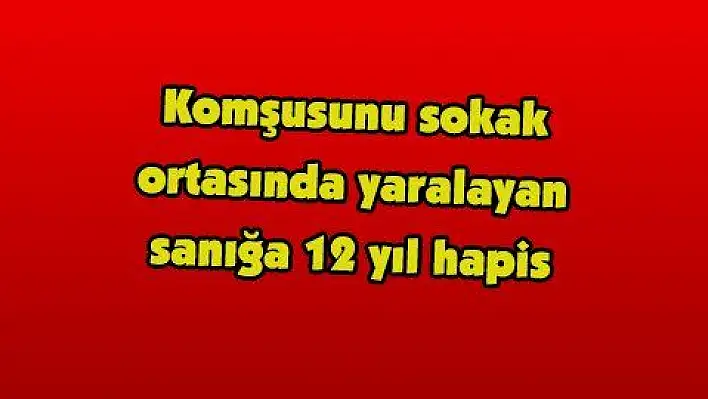 Komşusunu sokak ortasında yaralayan sanığa 12 yıl hapis