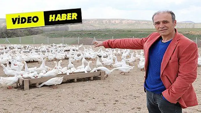 Kazlara askeri disiplin