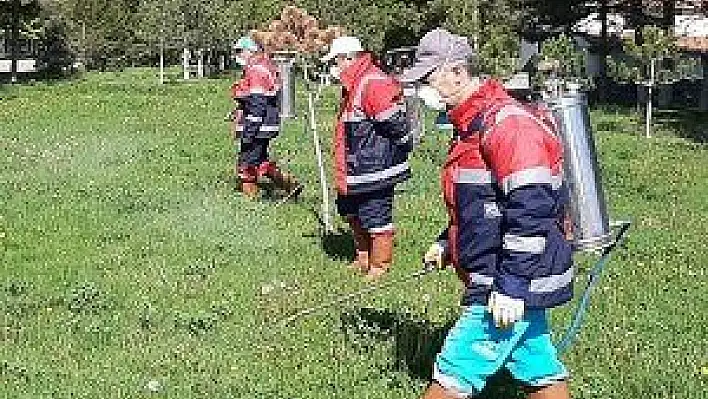 Kocasinan Belediyesi'nden haşere ile mücadele