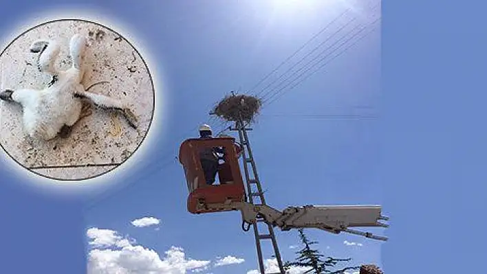 Elektrik direğinde asılı kalan leylek yavrusu böyle kurtarıldı 