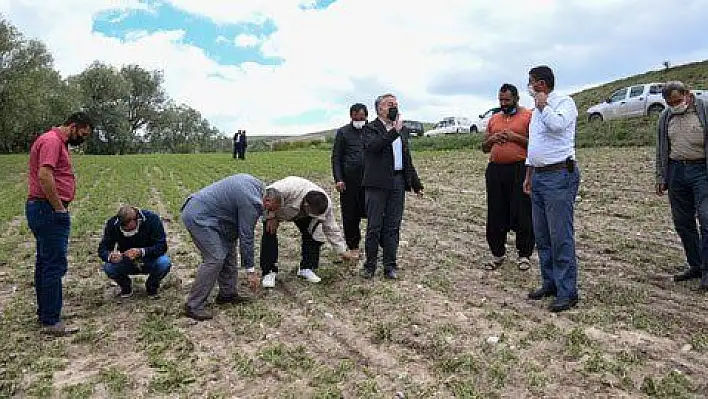 Selden zarar gören araziler incelendi