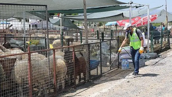 Talas'ın Kurban Pazarı'na tam not