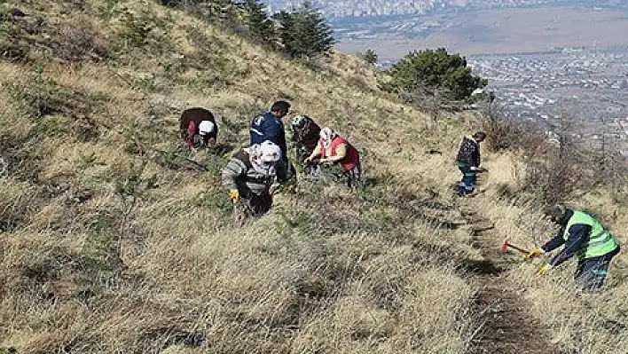 Ali Dağı Kayseri'nin akciğeri olacak 