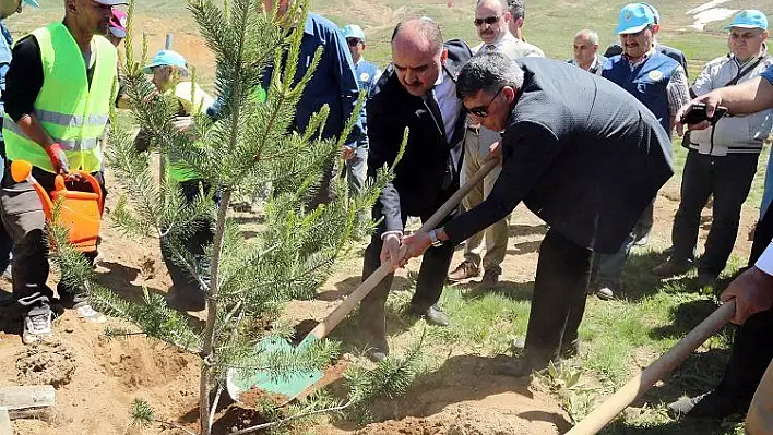 Vali Günaydın'dan Fidan Dikimine Davet