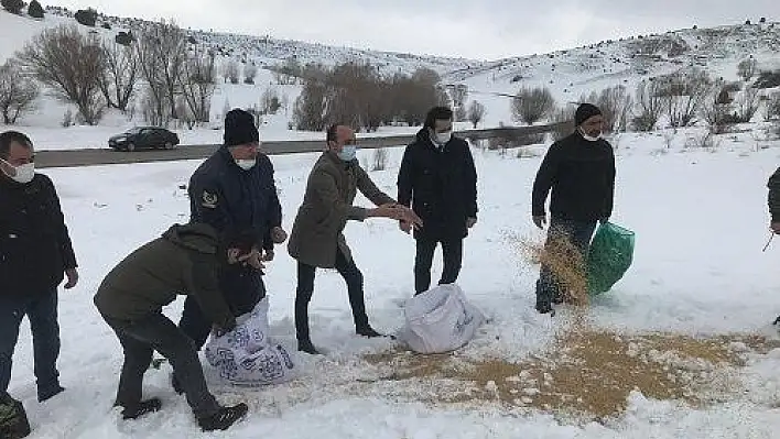 Yemleme çalışmaları devam ediyor