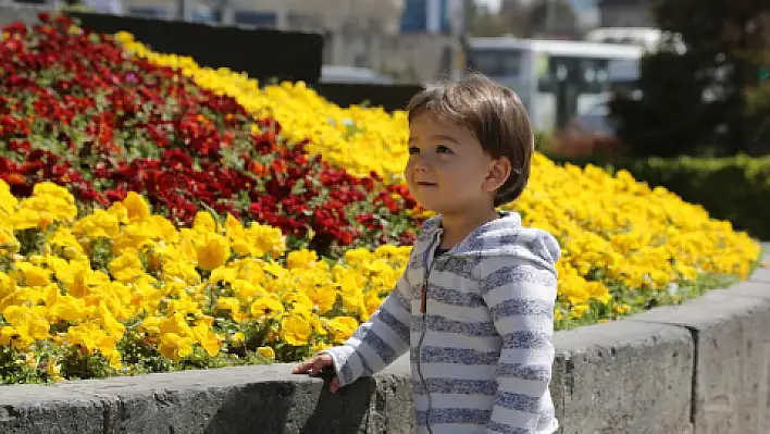 Kayseri çiçek bahçesine döndü