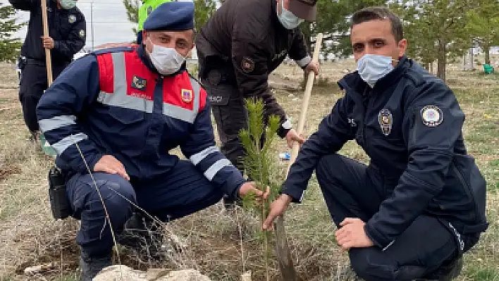 Polis Hatıra Ormanı'nda 176 fidan toprakla buluşturuldu