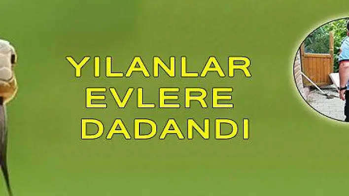 YILANLAR EVLERE DADANDI