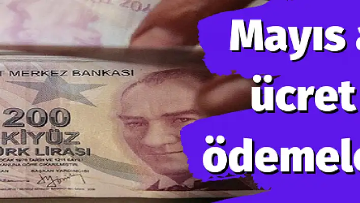 Mayıs ayı nakdi ücret desteği ödemeleri başladı