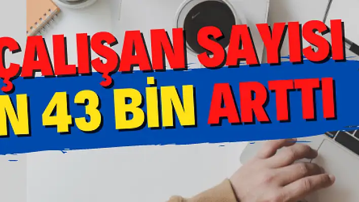 Ücretli çalışan sayısı 1 milyon 43 bin arttı