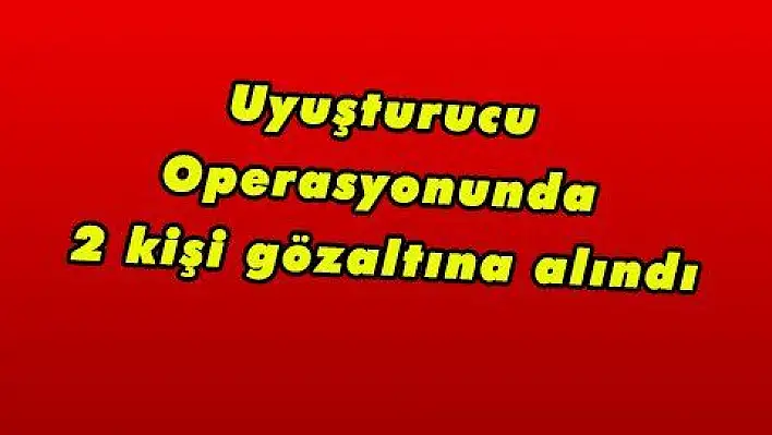 Uyuşturucu Operasyonunda 2 kişi gözaltına alındı