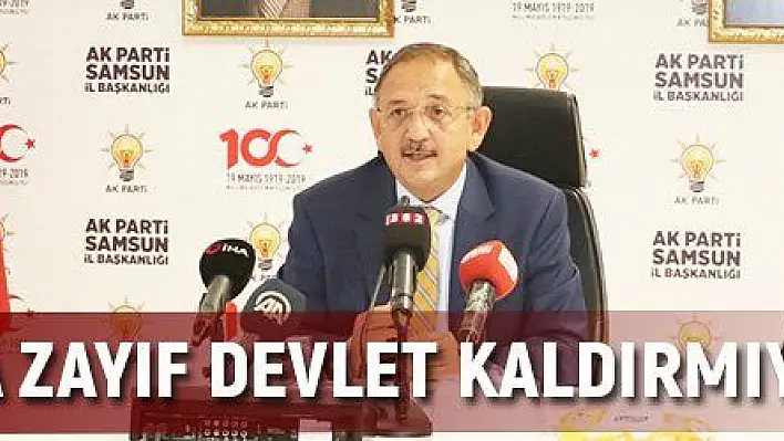 'Bu coğrafya zayıf devlet kaldırmıyor'