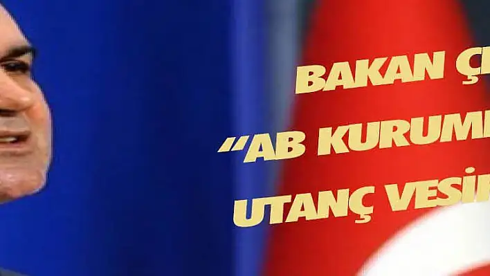 Bakan Çelik: 'AB kurumları için utanç vesikasıdır'