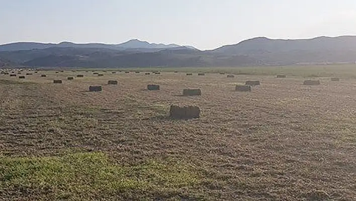 Yonca balyası çalan şahıs yakalandı 