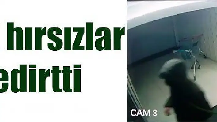 Değnekli hırsızlar pes dedirtti