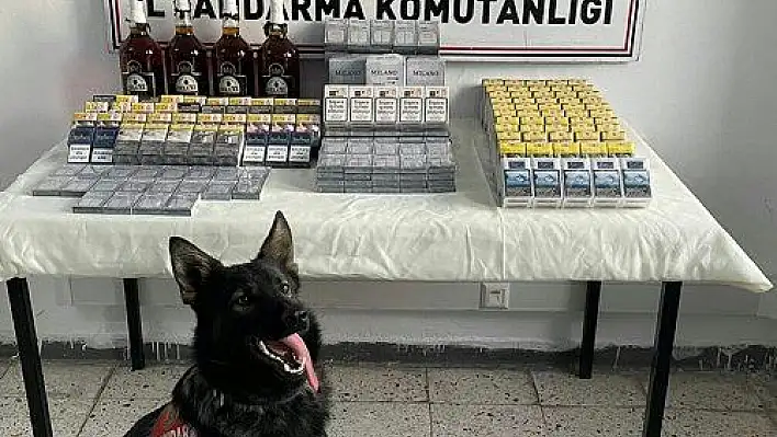  Jandarmadan kaçak sigara ve alkol operasyonu