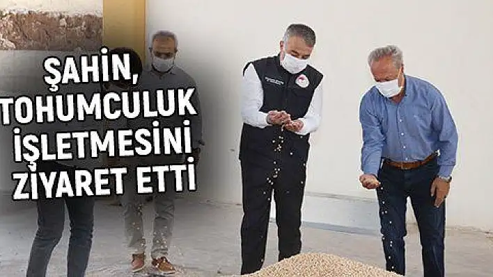 'Milli tohum üretimini destekliyoruz'