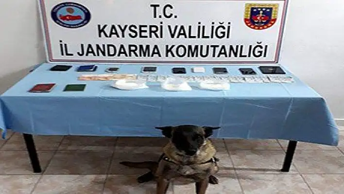 Jandarmadan uyuşturucu operasyonu 