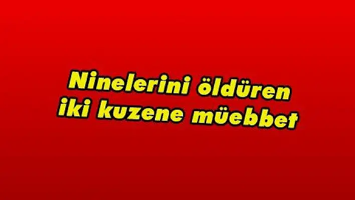 Ninelerini öldüren iki kuzene müebbet 