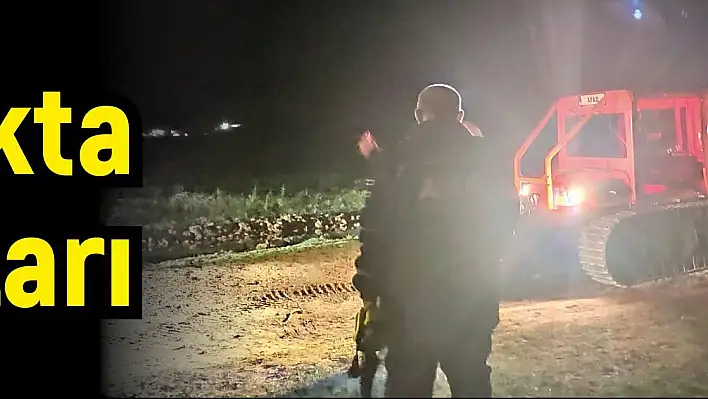 Bataklıkta can pazarı