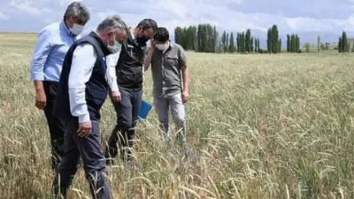 Şahin, hasar tespit çalışmalarına katıldı