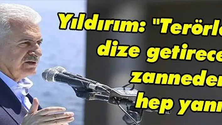 'Terörle bu milleti dize getireceklerini zannedenler hep yanıldı'   