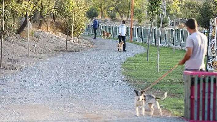 'Pati Yolu'na hayvan severlerden tam not