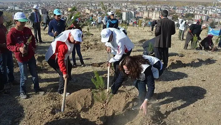 Develi'de 20 bin fidan toprakla buluştu